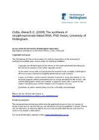 (2008) the Synthesis of Vinylphosphonate-Linked RNA. Phd Thesis, University of Nottingham