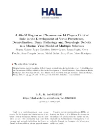 A 40-Cm Region on Chromosome 14 Plays a Critical Role in the Development of Virus Persistence, Demyelination, Brain Pathology An