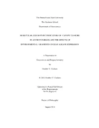 Thesis with Everything