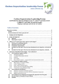 Final Report