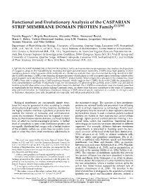 Functional and Evolutionary Analysis of the CASPARIAN STRIP MEMBRANE DOMAIN PROTEIN Family1[C][W]