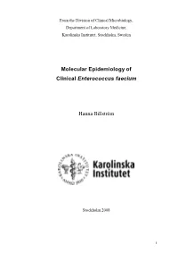 Molecular Epidemiology of Clinical Enterococcus Faecium Hanna