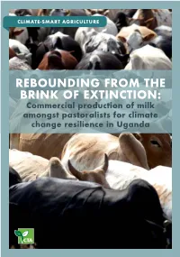 Rebounding from the Brink of Extinction