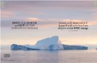 Storms, Swells, Snowand Ice (Topped with Polar Bears)