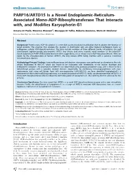 PARP16/ARTD15 Is a Novel Endoplasmic-Reticulum- Associated Mono-ADP-Ribosyltransferase That Interacts With, and Modifies Karyopherin-ß1