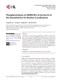 Phosphorylation of AMMECR1 at Serine16 Is Not Essential for Its Nuclear Localization