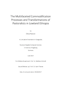 The Multifaceted Commodification Processes and Transformations of Pastoralists in Lowland Ethiopia