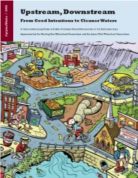 Upstream, Downstream from Good Intentions to Cleaner Waters