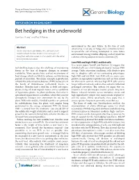 Bet Hedging in the Underworld Xue-Xian Zhang* and Paul B Rainey
