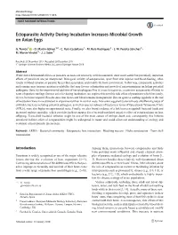 Ectoparasite Activity During Incubation Increases Microbial Growth on Avian Eggs