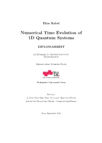 Numerical Time Evolution of 1D Quantum Systems