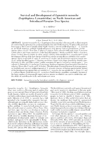 Survival and Development of Lymantria Monacha (Lepidoptera: Lymantriidae) on North American and Introduced Eurasian Tree Species