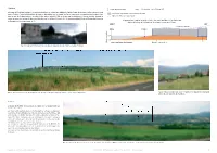 Fig.30. Vue Panoramique Vers L'ouest Sur Le