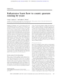 Quorum Sensing by Yeast
