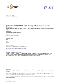 The Function of NM23-H1/NME1 and Its Homologs in Major Processes Linked to Metastasis