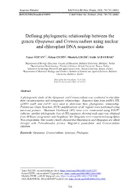 Defining Phylogenetic Relationship Between the Genera Opopanax and Crenosciadium Using Nuclear and Chloroplast DNA Sequence Data