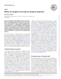 When an Enzyme Isn't Just an Enzyme Anymore Extra Botany