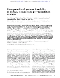 R-Loop-Mediated Genome Instability in Mrna Cleavage and Polyadenylation Mutants
