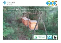 Trees and Plants for Bees and Beekeepers in the Upper Mara Basin