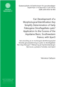 Can Development of a Morphological Identification Key