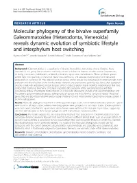 Molecular Phylogeny of the Bivalve Superfamily Galeommatoidea