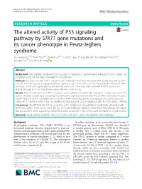 The Altered Activity of P53 Signaling Pathway by STK11 Gene Mutations