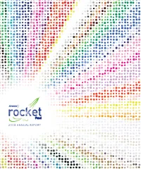 2008 Annual Report