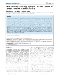 Fiber Pathway Pathology, Synapse Loss and Decline of Cortical Function in Schizophrenia