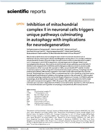 Inhibition of Mitochondrial Complex II in Neuronal Cells Triggers Unique