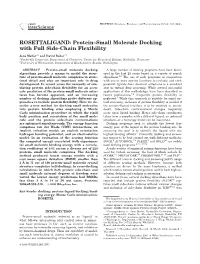 Protein-Small Molecule Docking with Full Side-Chain Flexibility
