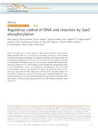 Regulatory Control of DNA End Resection by Sae2 Phosphorylation