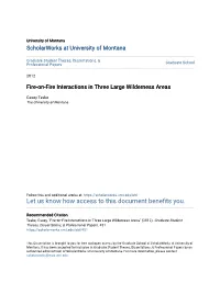 Fire-On-Fire Interactions in Three Large Wilderness Areas