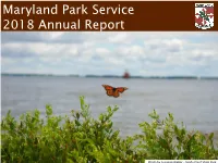 2018 Annual Report