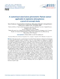 A Customized Stand-Alone Photometric Raman Sensor Applicable in Explosive Atmospheres: a Proof-Of-Concept Study