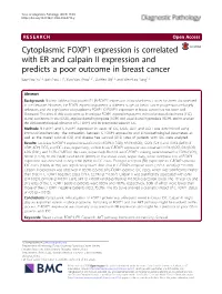 Cytoplasmic FOXP1 Expression Is Correlated with ER and Calpain II Expression and Predicts a Poor Outcome in Breast Cancer