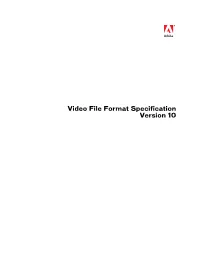 FLV File Format