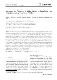 Abundance and Fluctuation in Spider Diversity in Citrus Fruits from Located in Vicinity of Faisalabad Pakistan