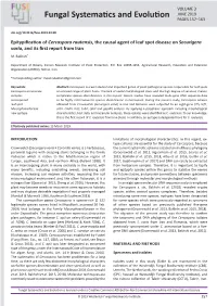 Epitypification of Cercospora Rautensis, the Causal Agent of Leaf Spot Disease on Securigera Varia, and Its First Report from Iran M
