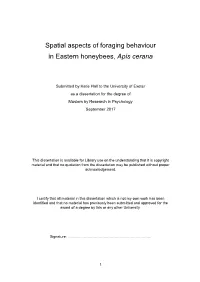 Spatial Aspects of Foraging Behaviour in Eastern Honeybees, Apis Cerana