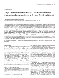 Single-Channel Analysis of KCNQ K Channels Reveals the Mechanism of Augmentation by a Cysteine-Modifying Reagent