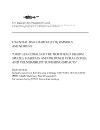 Deep-Sea Corals Background Document