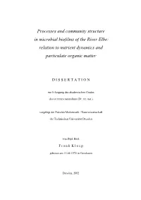 Relation to Nutrient Dynamics and Particulate Organic Matter