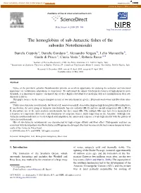 The Hemoglobins of Sub-Antarctic Fishes of the Suborder Notothenioidei