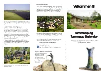 Tommerupperne Folder 2016