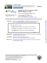 Effector Memory T Cells + Regulation of IL-17 in Human CCR6