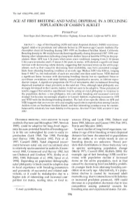 AGE at FIRST BREEDING and NATAL DISPERSAL in a DECLINING POPULATION of CASSIN&Apos;S AUKLET