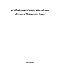 General Introduction and Outline of the Thesis 7