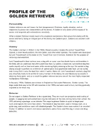 Profile of the Golden Retriever