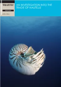 Traffic an Investigation Into the Trade of Nautilus