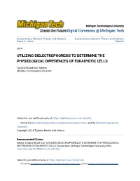 Utilizing Dielectrophoresis to Determine the Physiological Differences of Eukaryotic Cells